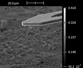 Secondary electron SEM image of an ultrasonic spray-coated surface with a measurement probe tip, 20 µm scale bar